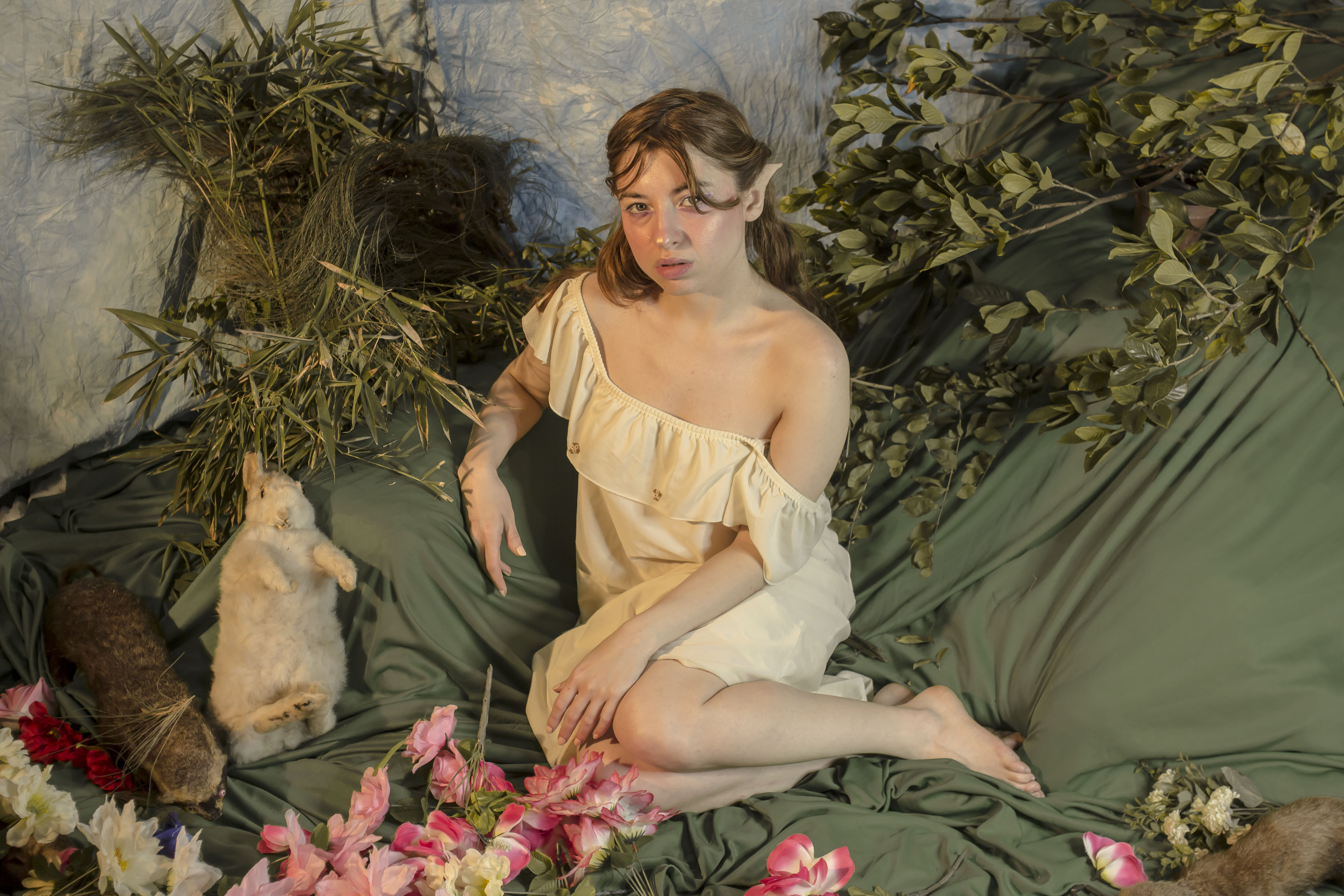 Fairy Tale Photoset Portada